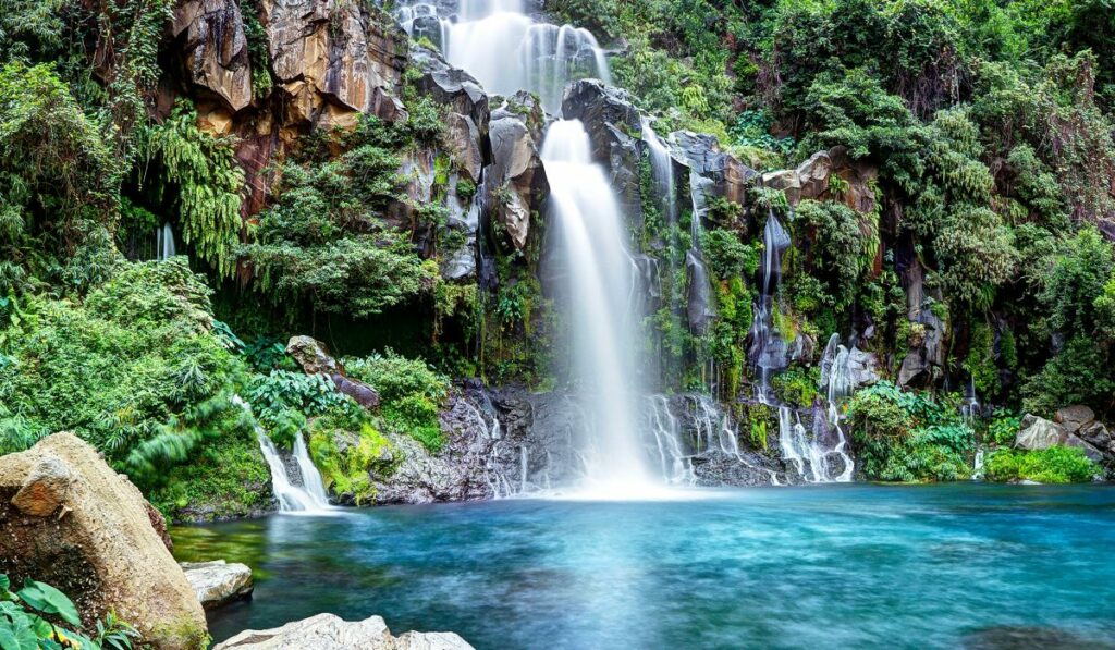 nature Réunion