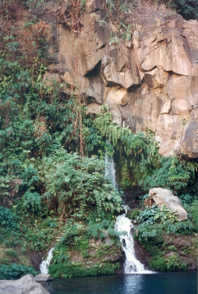 Bassin des Aigrettes à La Réunion