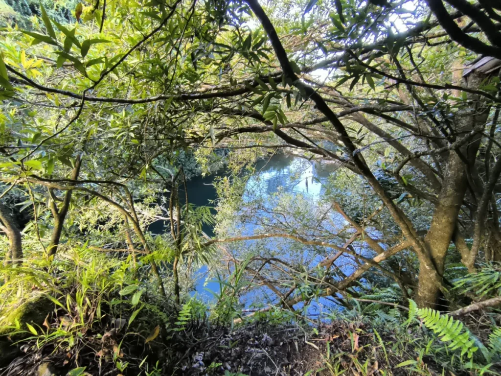 Bassin La Mer à La Réunion