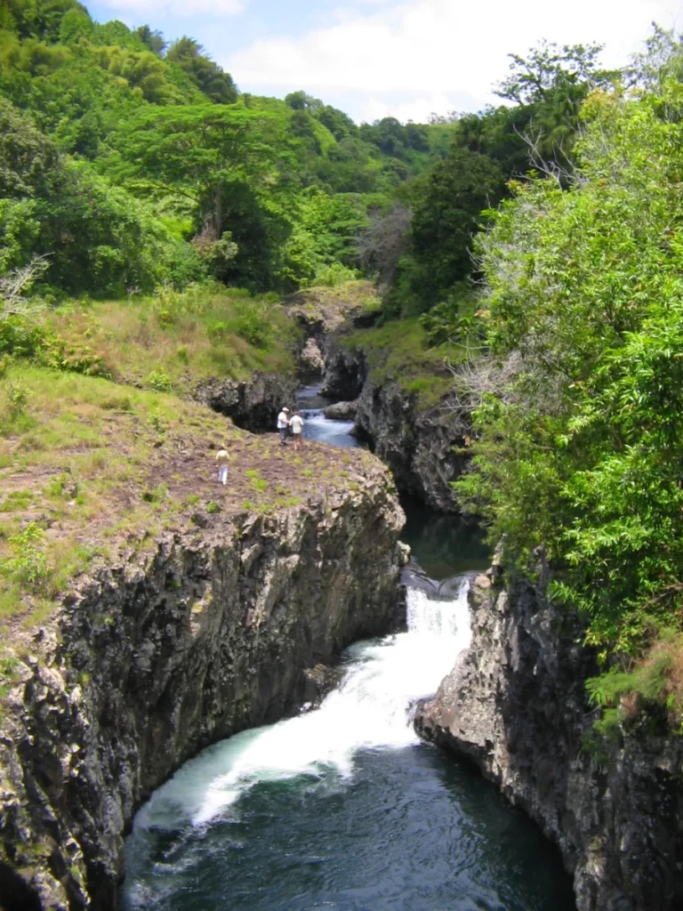 Bassin La Paix à La Réunion