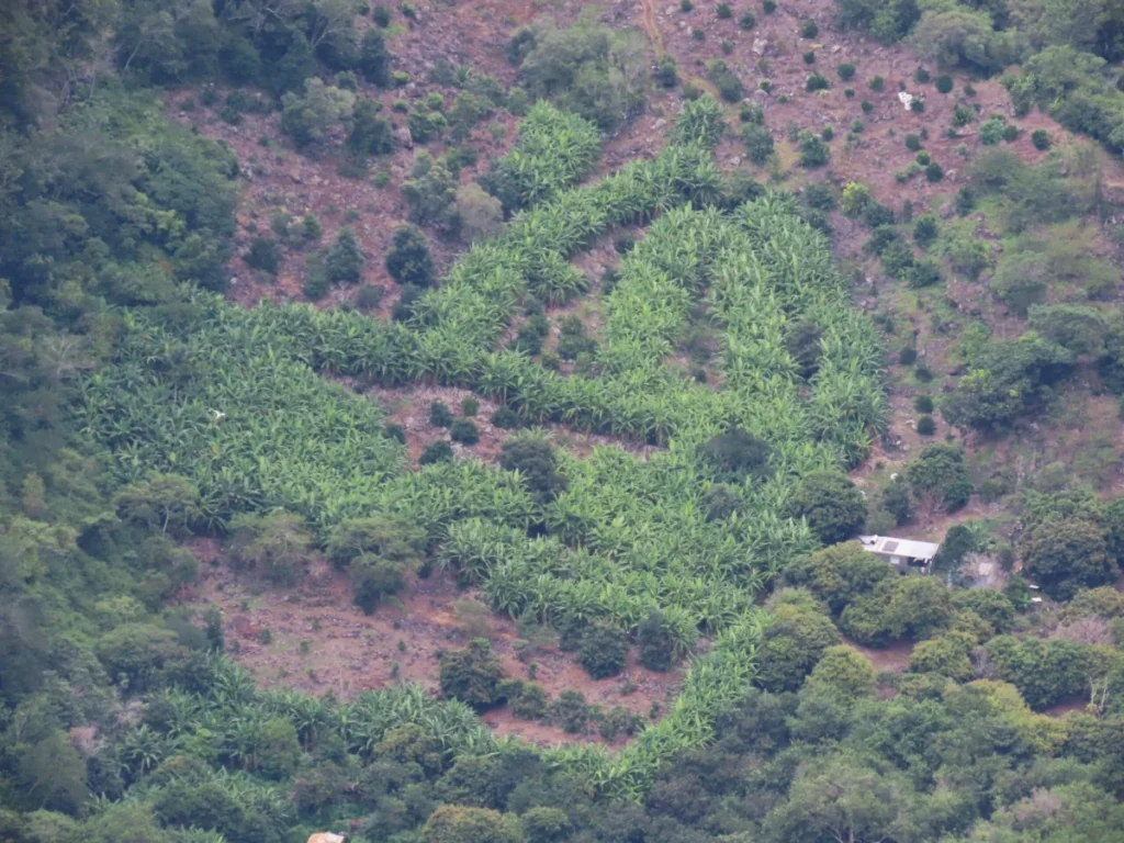 Belvédère de Bois Court à La Réunion