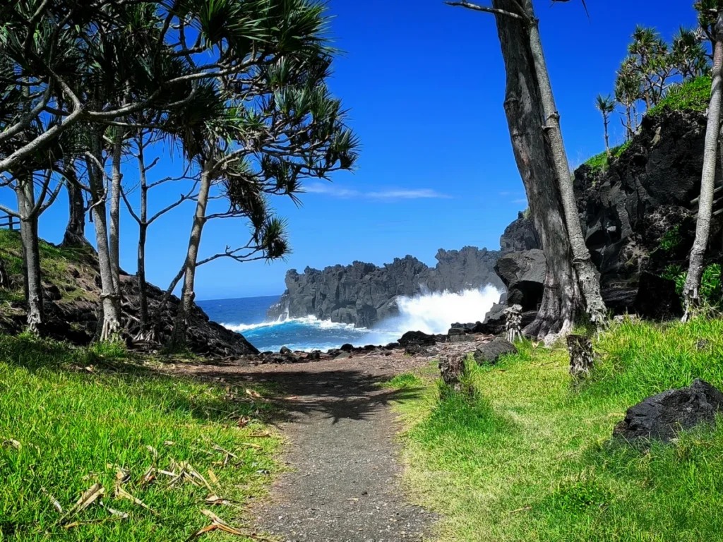 Cap Méchant à La Réunion