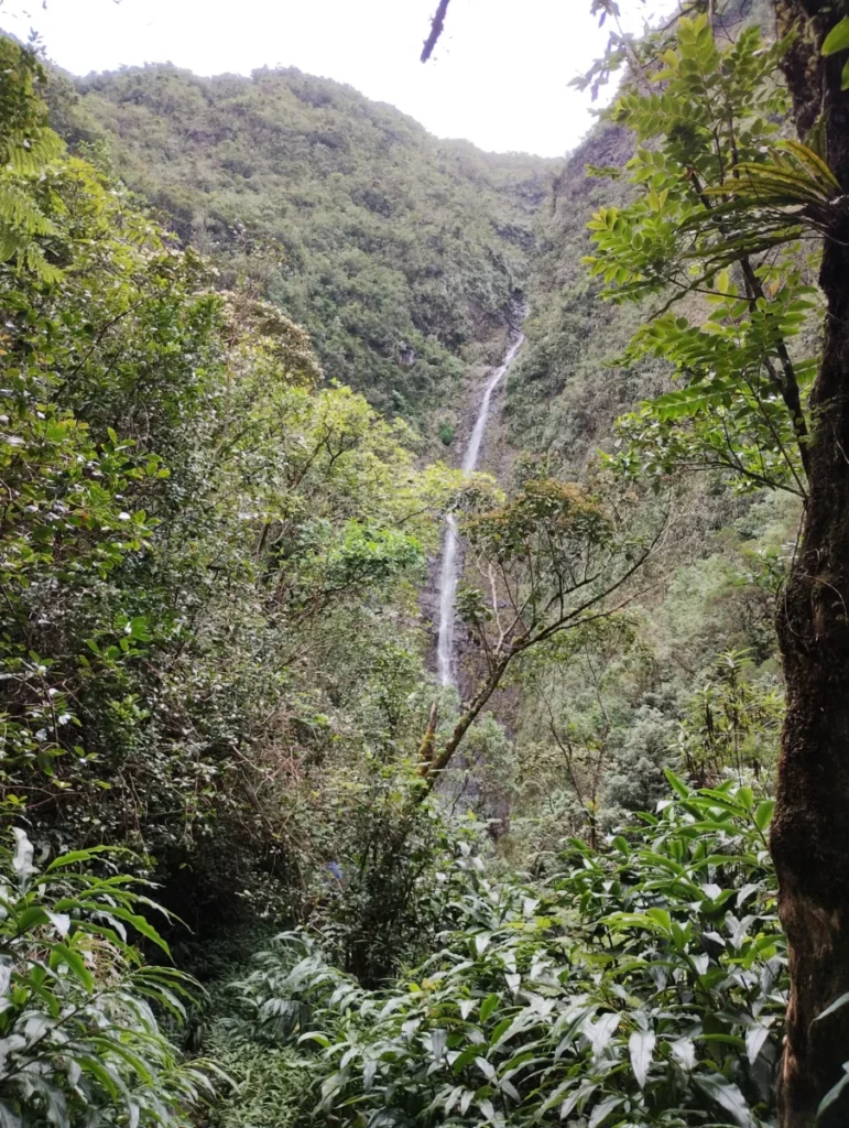 Cascade Biberon à La Réunion