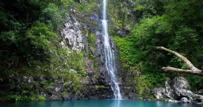Cascade Maniquet à La Réunion