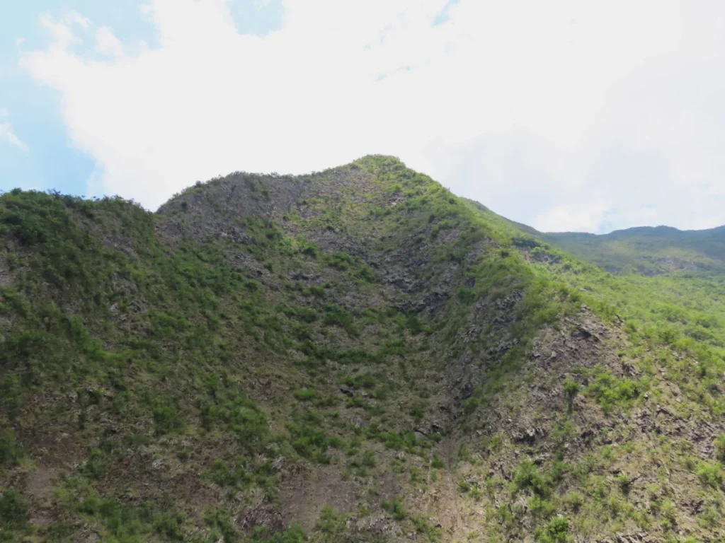 Dimitile à La Réunion