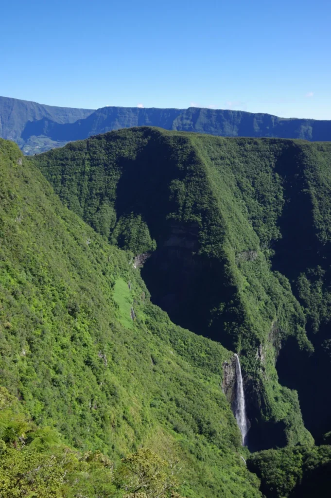 Forêt de Bélouve à La Réunion