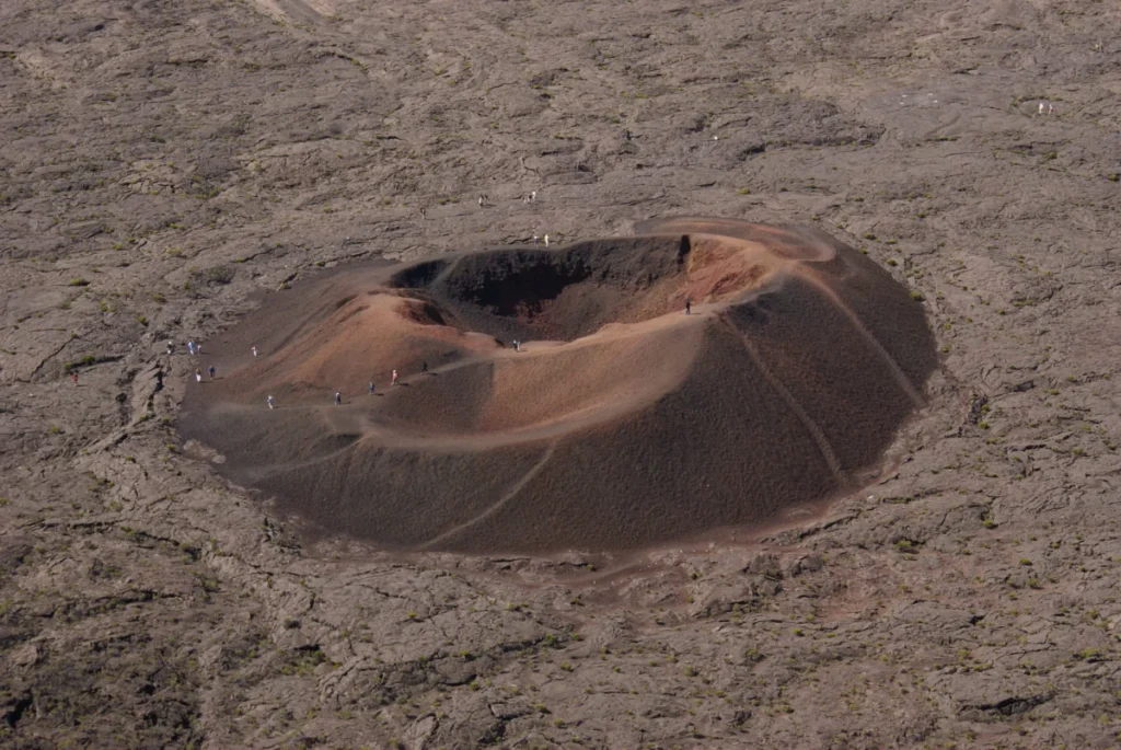 Formica Léo à La Réunion