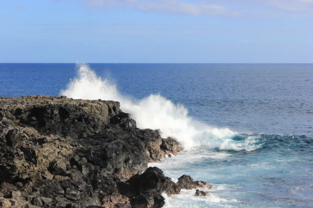 Pointe au Sel à La Réunion
