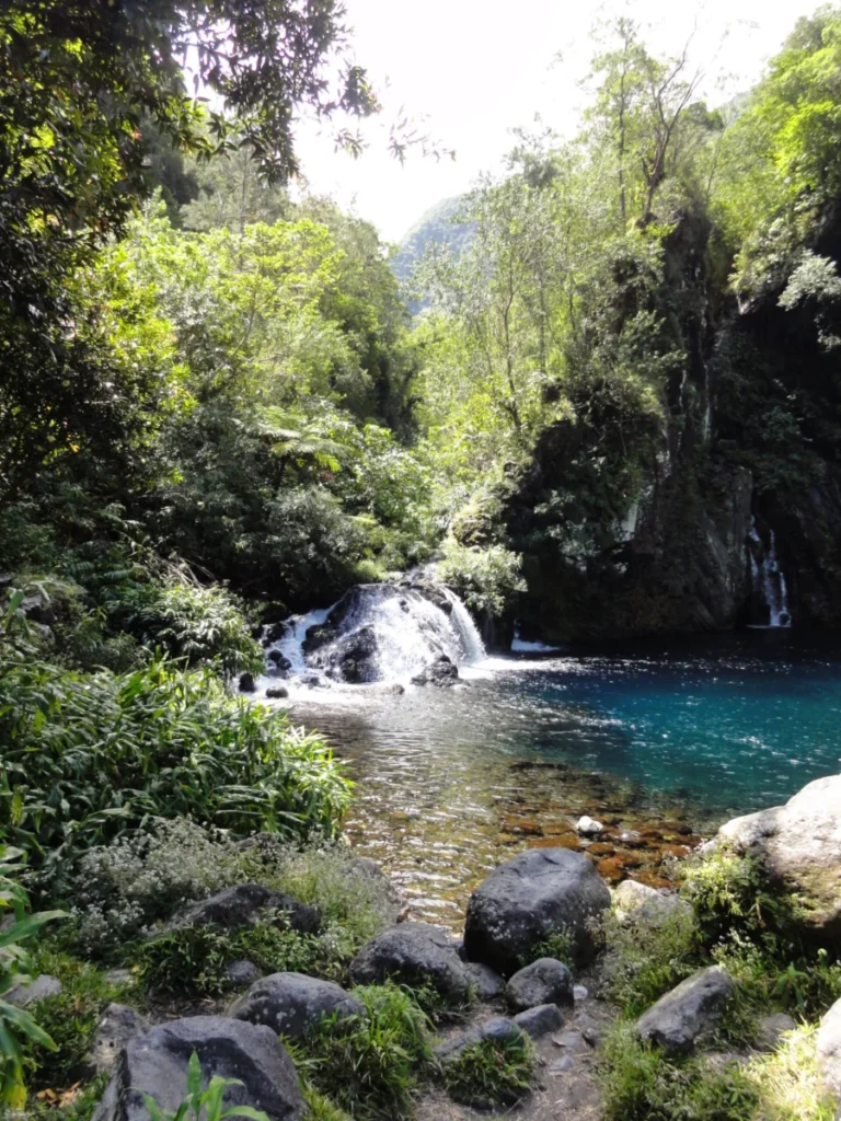 Rivière Langevin à La Réunion
