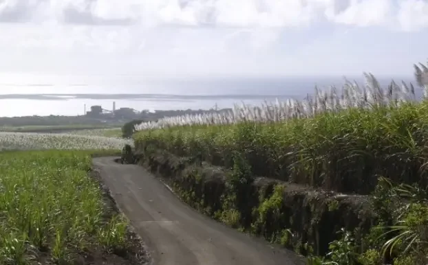 Sentier littoral de Sainte-Suzanne à La Réunion