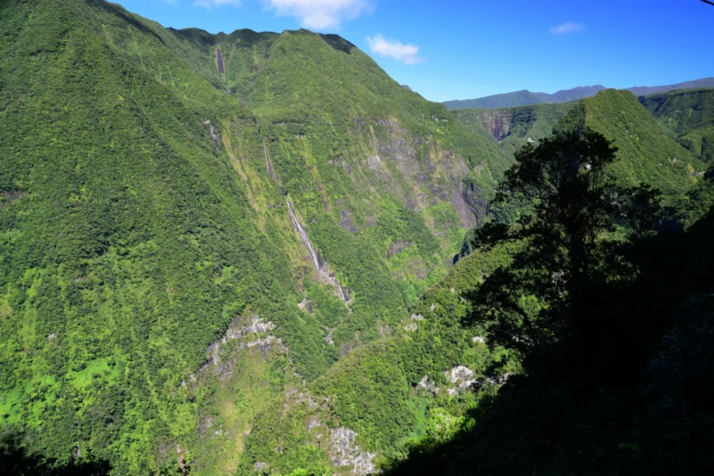 Takamaka à La Réunion