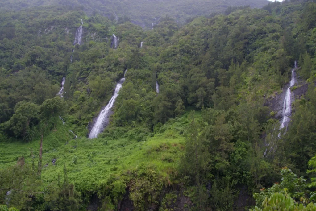 Voile de la Mariée à La Réunion